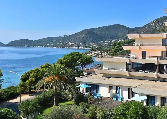 Daire Sanguinaires - 3p - Terrasse - Piscine